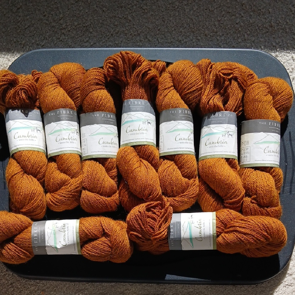 The Fibre Co. Cumbria Yarn in Catbells Rich Nutmeg Orange
